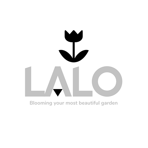 Screenshot-2024-07-09-205936-1000